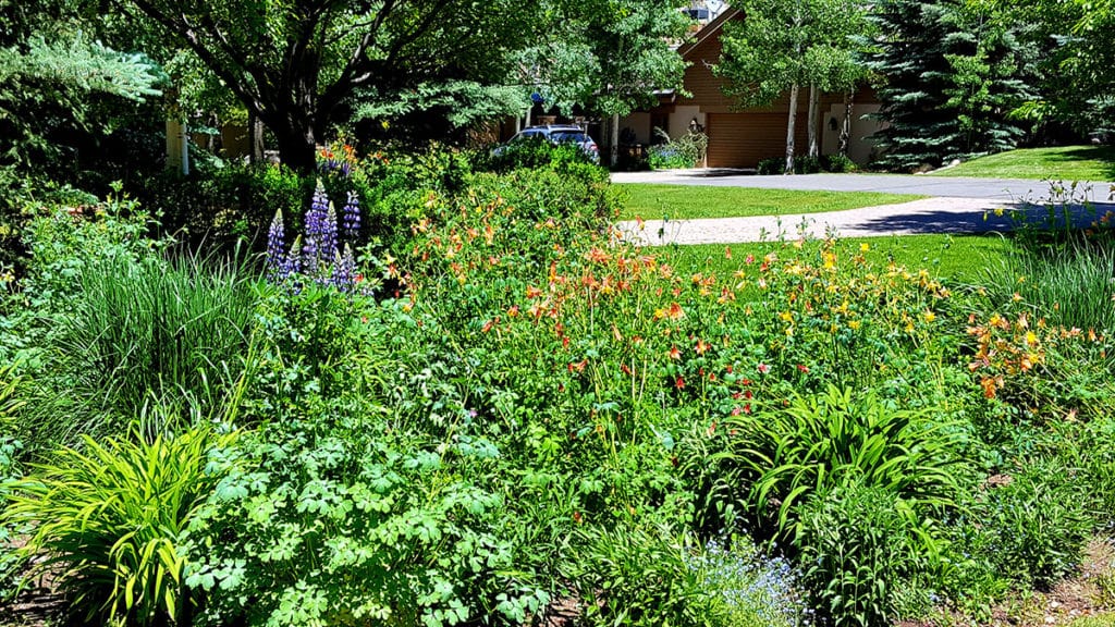 Residential landscape installation in Vail.