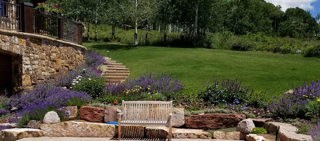 residential landscape in Vail.