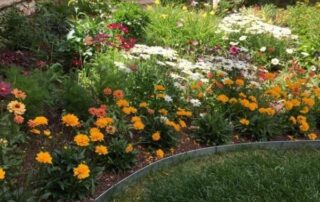 garden landscape design in Colorado