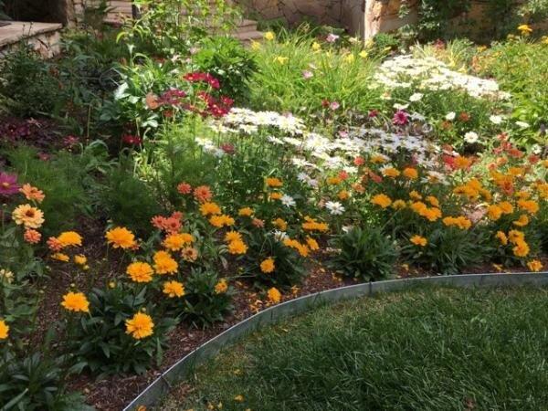 garden landscape design in Colorado