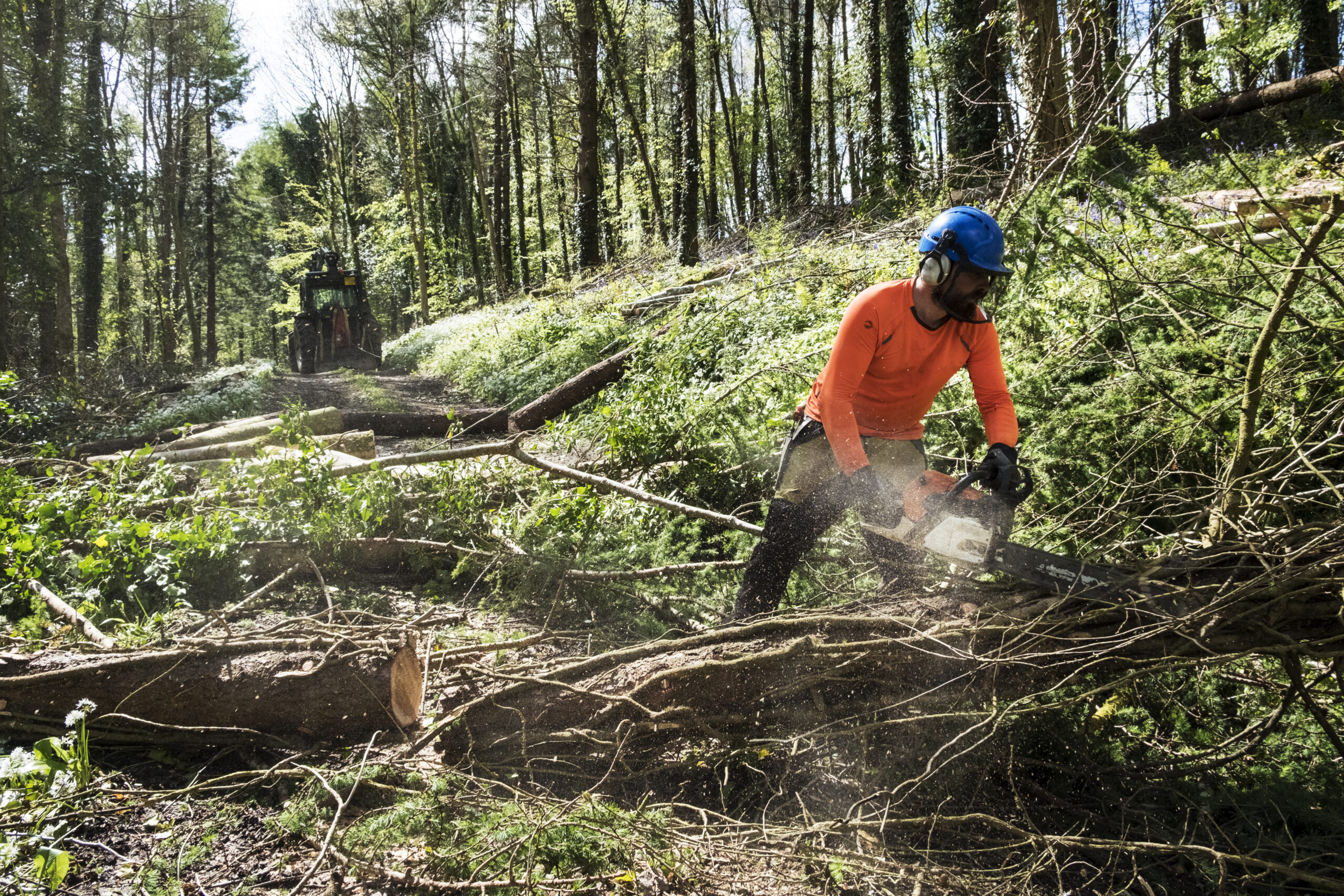 man doing fire mitigation