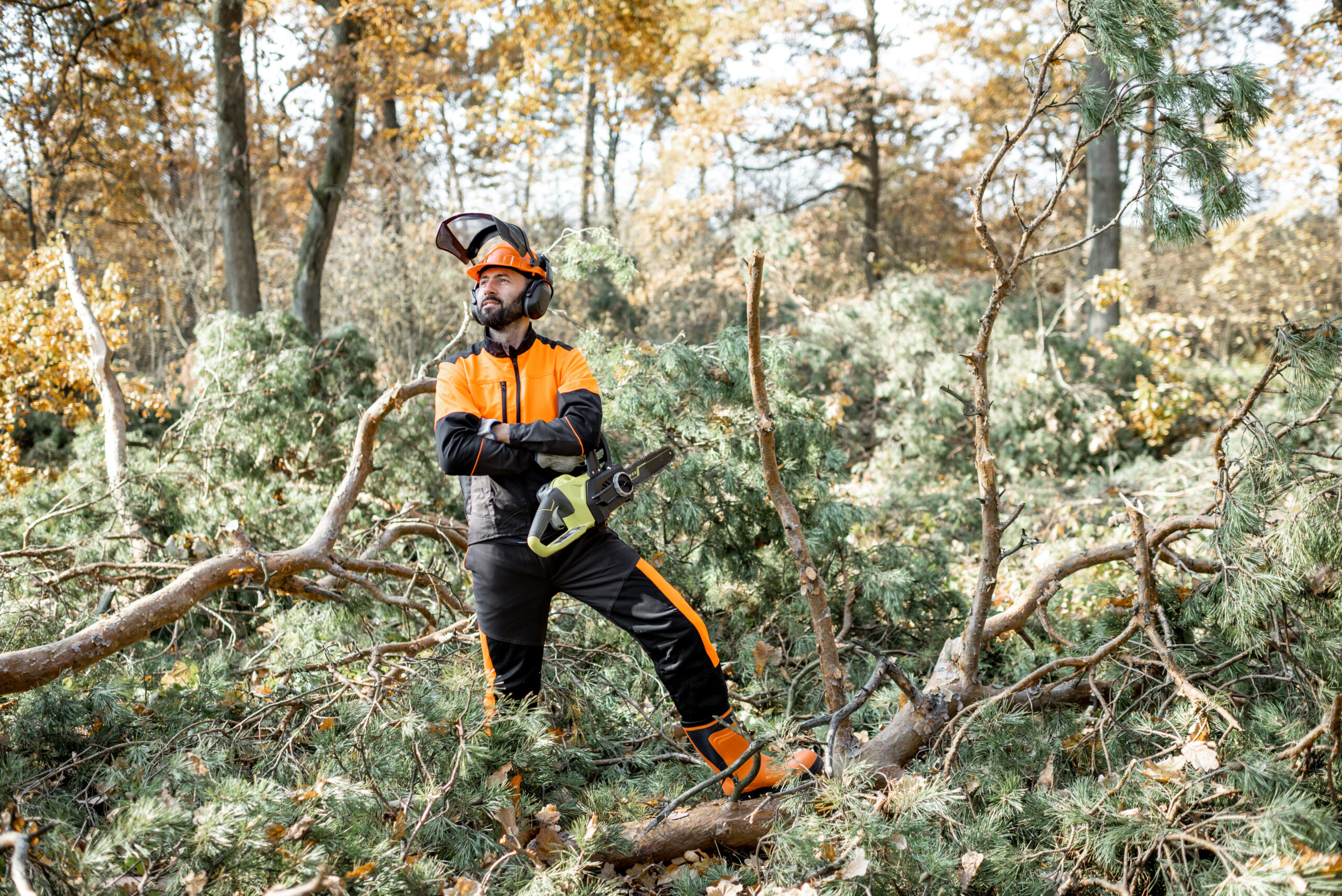 Professional lumberman in the forest earth-songs-gardening-fire-mitigation-services-vail-1