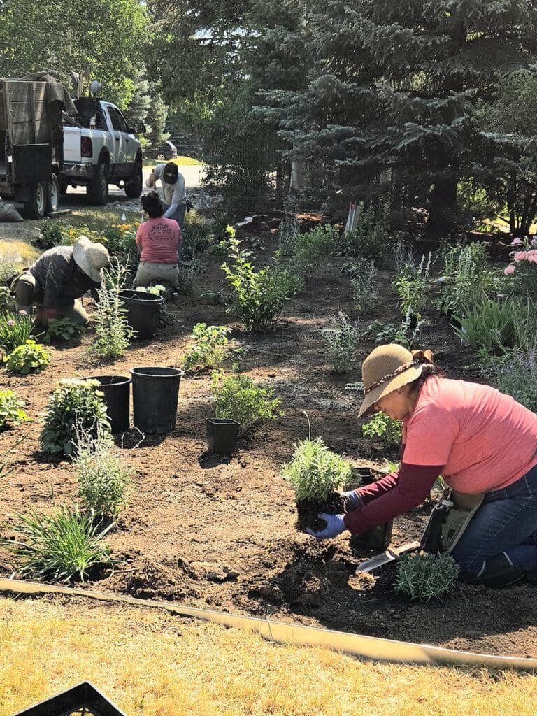 Hardscape and landscape installation in Vail.