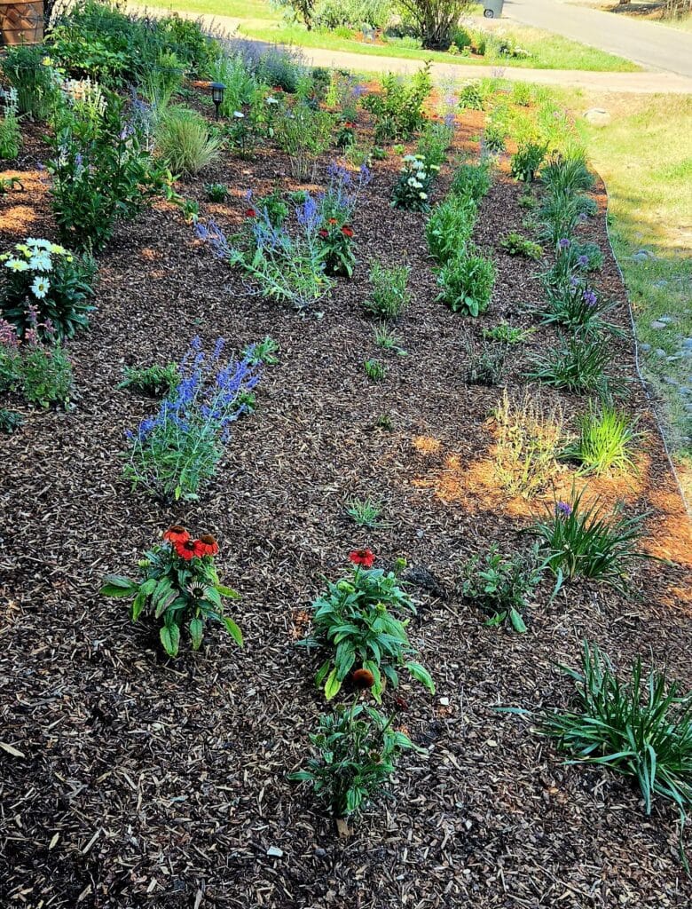 Residential landscaping in Vail.