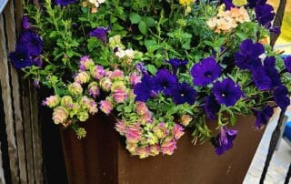 Premium residential landscaping in Vail Valley.