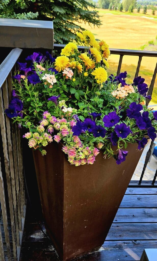 Premium residential landscaping in Vail Valley.